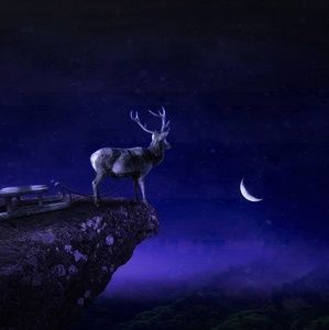 Meet your Posher, Dave